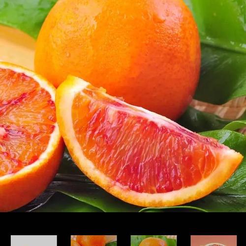 柠檬小仙四川新鲜橙子水果塔罗科血橙45斤