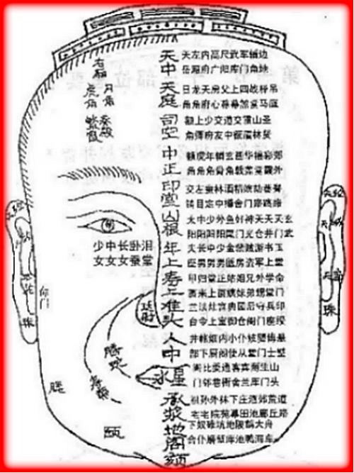 诗林 结缘 中国传统相面术常识 - wz2023002 - wz2023002的博客