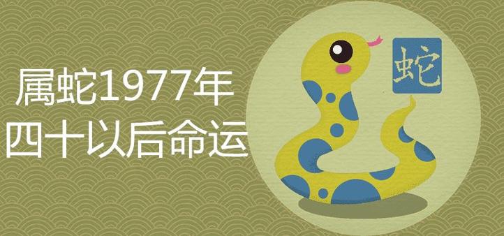 科普属蛇的今年多大，生肖蛇今年几岁(属蛇是几岁)
